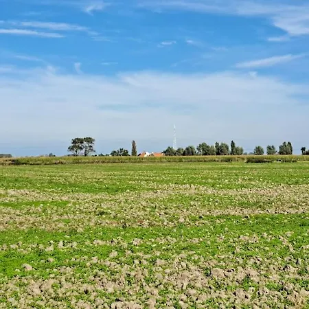 Boutique Sparrenduin Met Airco De Haan