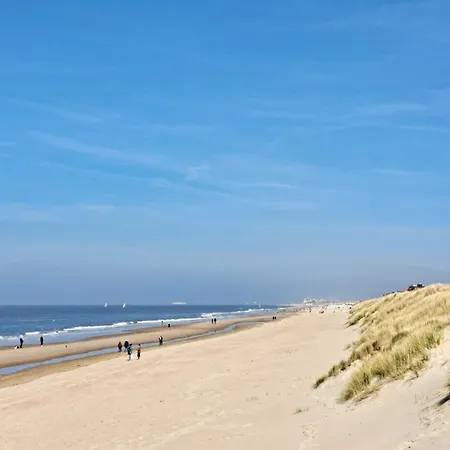 Boutique Sparrenduin Met Airco Apartamento De Haan