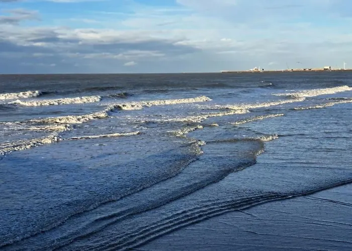 Boutique Sparrenduin Met Airco *