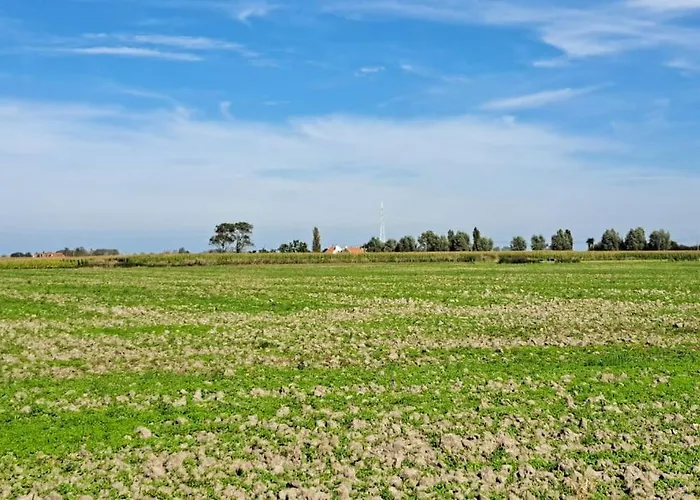 Boutique Sparrenduin Met Airco De Haan