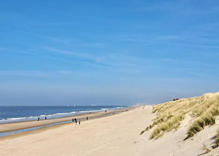 Boutique Sparrenduin Met Airco Lägenhet De Haan